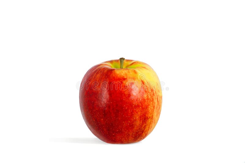 Download Single a red-yellow apple stock image. Image of isolated - 20383293
