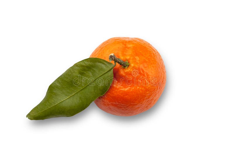 Satsuma Orange Isolated With Clipping Path Stock Photo Image of sweet, satsuma 27744898