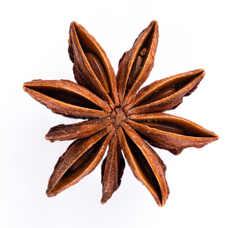 A Single Star Anise Isolated on White Stock Photo Image of badian, spice 216238476