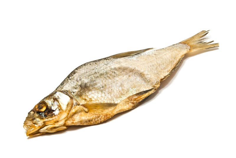 Stockfish Images Download 3,618 Royalty Free Photos Page 3