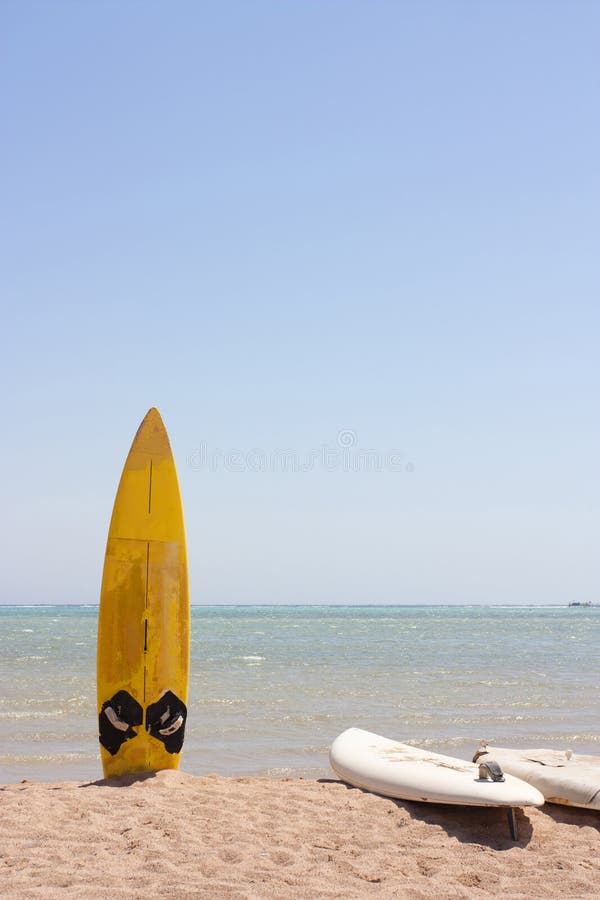 A Single Surfboard in the Sand Stock Image Image of summer, blue