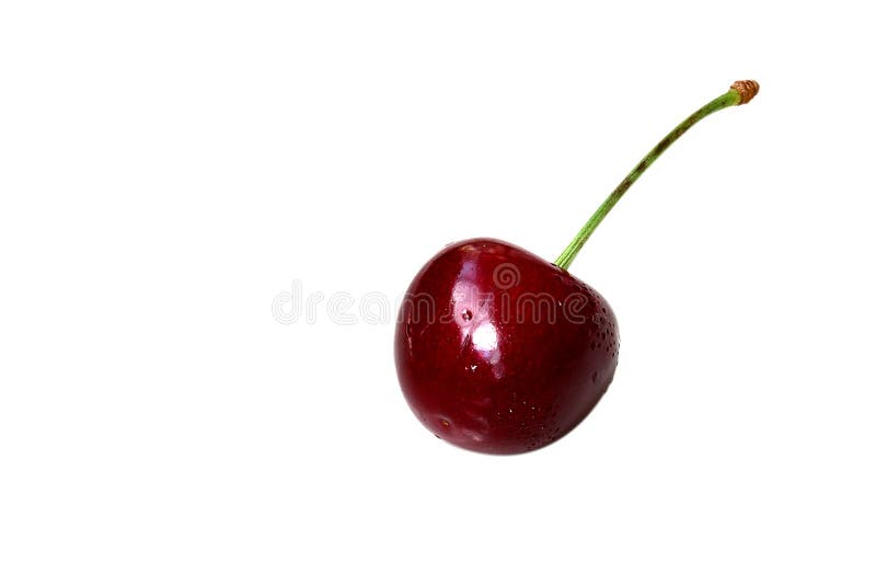 Single sweet cherry