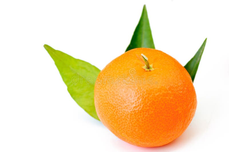 Single tangerine, mandarin stock image. Image of mandarin 59729909