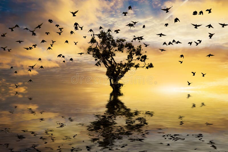 16,722 Nature Wallpaper Birds Stock Photos - Free & Royalty-Free Stock  Photos from Dreamstime