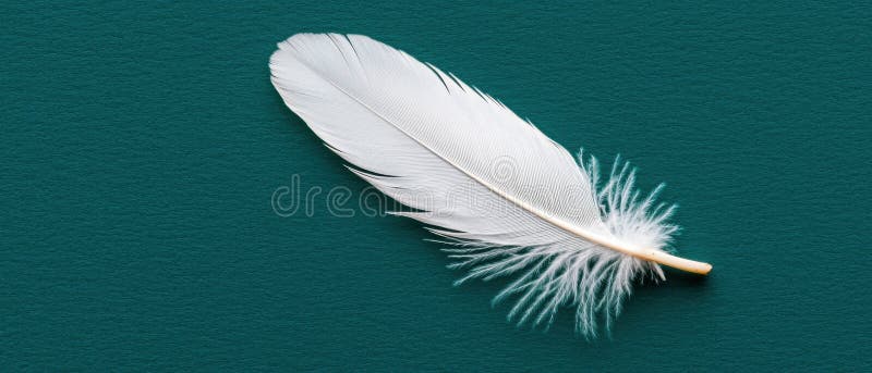 A single white feather on a blue background. stock photo