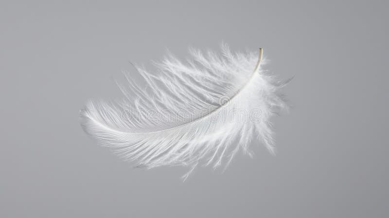 A single white feather floating in the air. royalty free stock photos