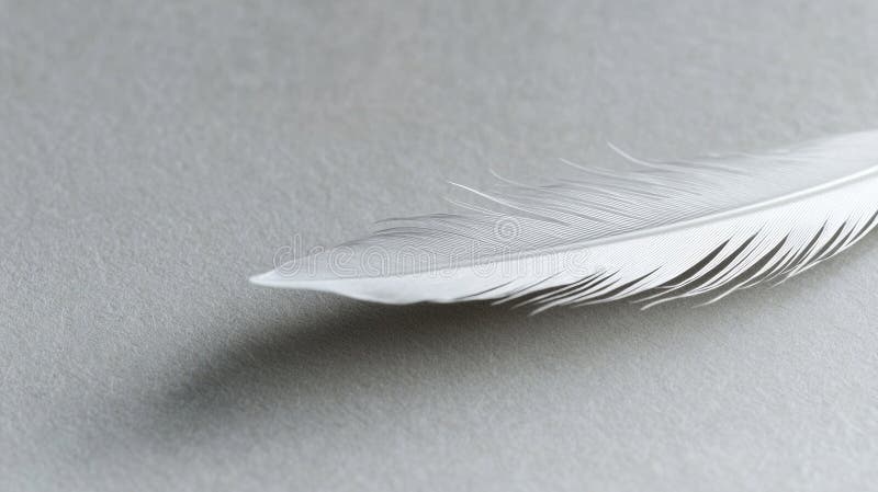 A single white feather on a gray surface. royalty free stock images