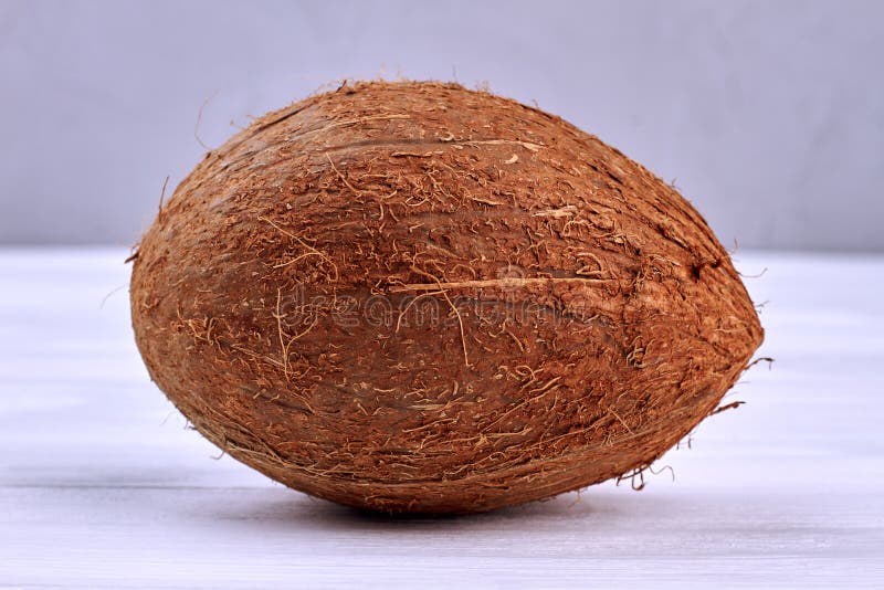 Single hairy coconut stock photo. Image of palm, object - 21121332