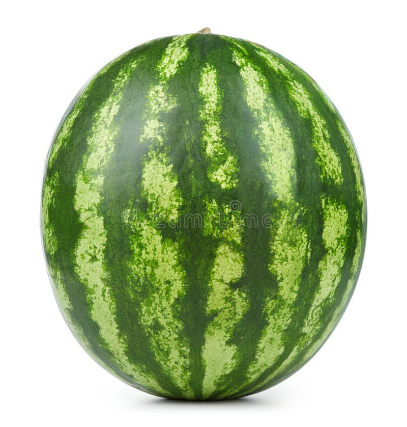Whole watermelon stock image. Image of ripe, concept 14896251