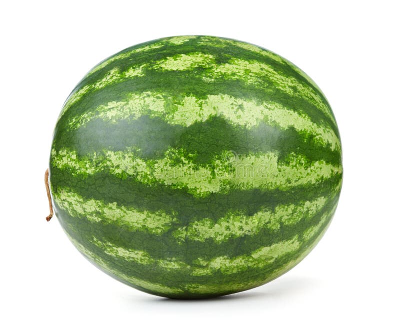 Whole watermelon isolated stock image. Image of white 127565677