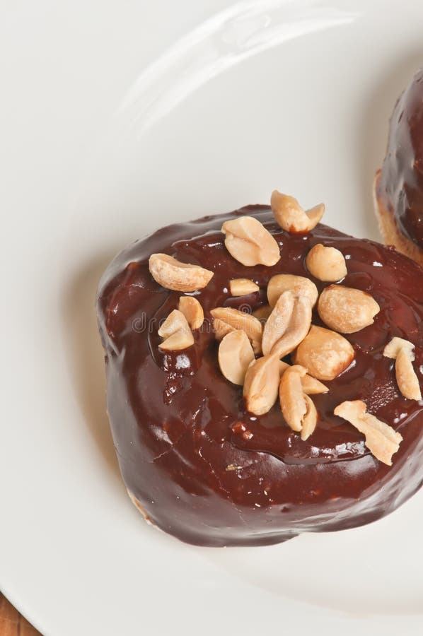 Single Yeast Donut Covered with Chocolate Frosting and Salted Peanuts