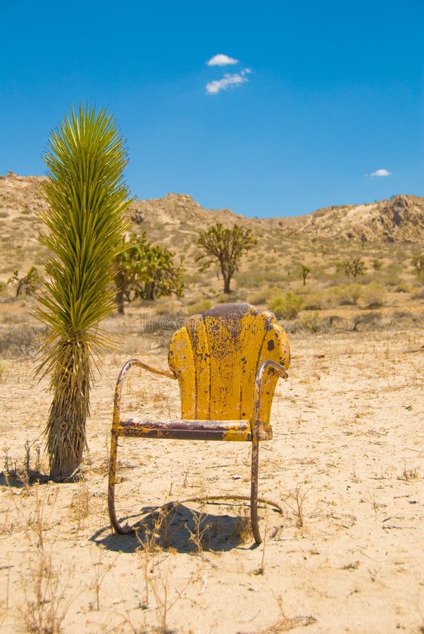 Single Yellow Chair with Plant in California Dese