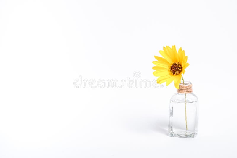66,000+ Water Jar Stock Photos, Pictures & Royalty-Free Images