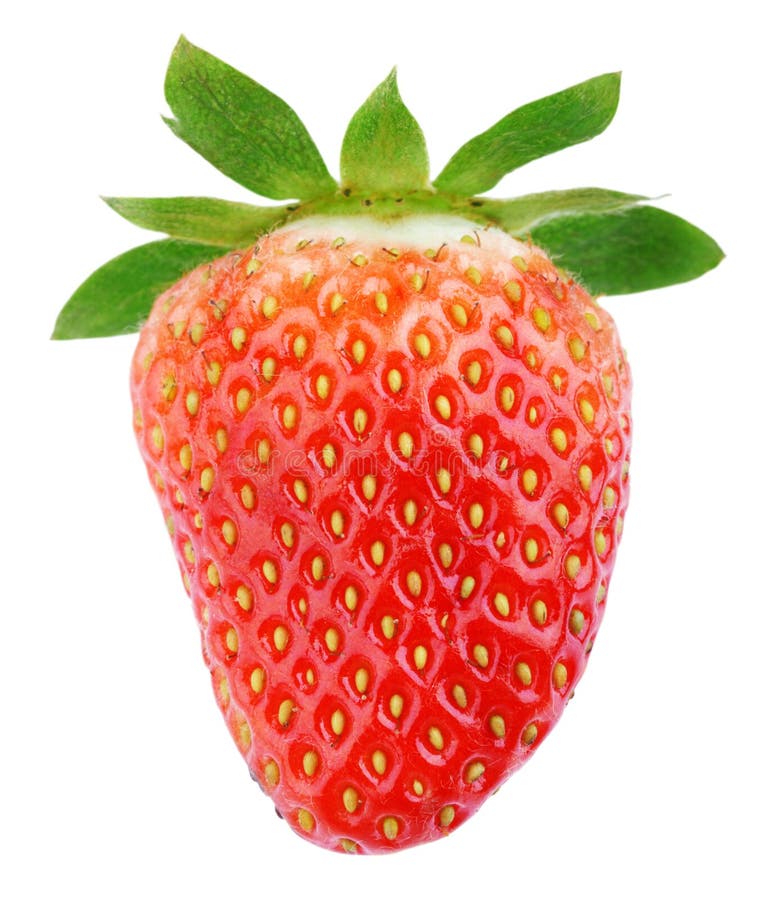 Singola frutta matura della fragola immagine stock