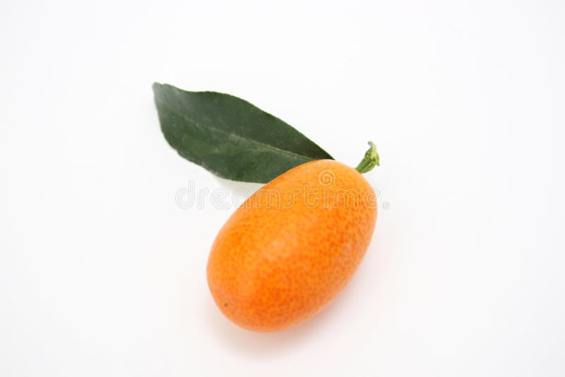 Singolo kumquat