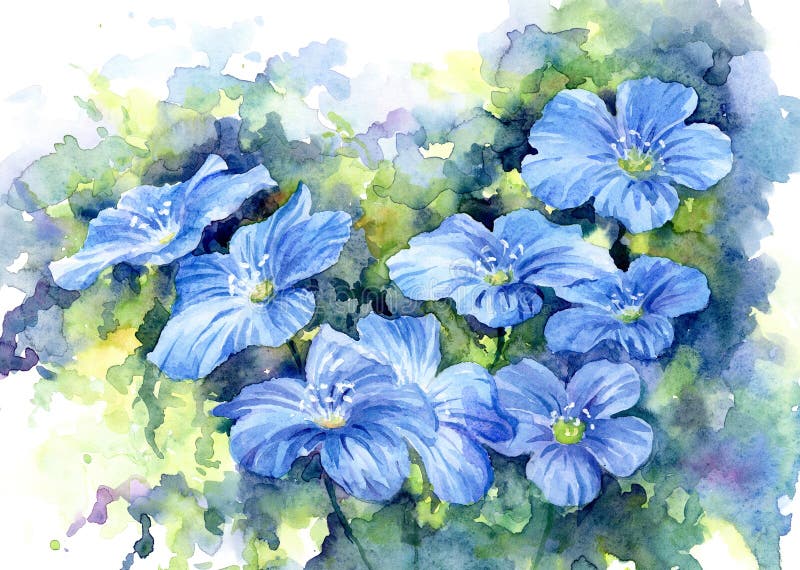 Sinii blommor, vattenfärg royaltyfri illustrationer Sinii blommor, vattenfärg royaltyfri illustrationer