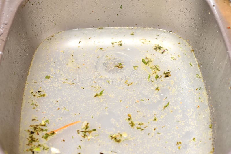 The Sink in the Kitchen is Clogged and the Water Does Not Go Down the