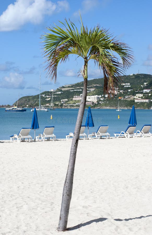 St.Maarten Island stock photo. Image of town, palms, sunny - 5294754