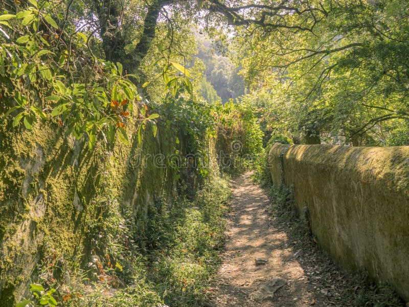 Sintra. Amazing and mystical park Quinta da Regaleira royalty free stock image Sintra. Amazing and mystical park Quinta da Regaleira royalty free stock image