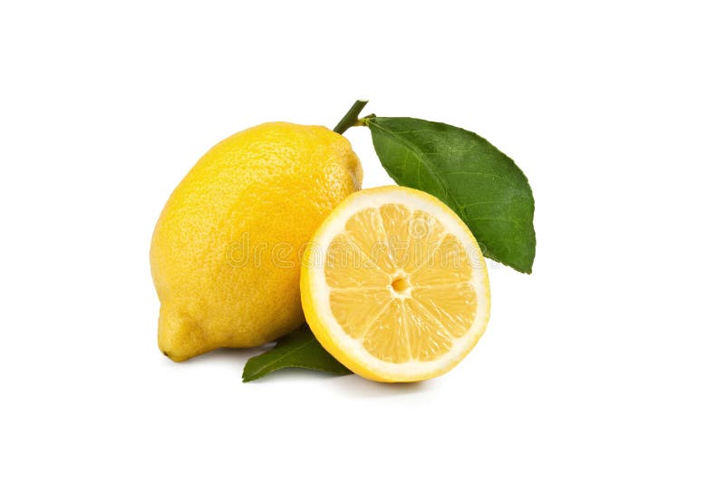 Siracusa lemon, Limone di Siracusa IGP, cultivar `femminello` Citrus  limon. Siracusa lemon, Limone di Siracusa IGP, cultivar `femminello` Citrus  limon