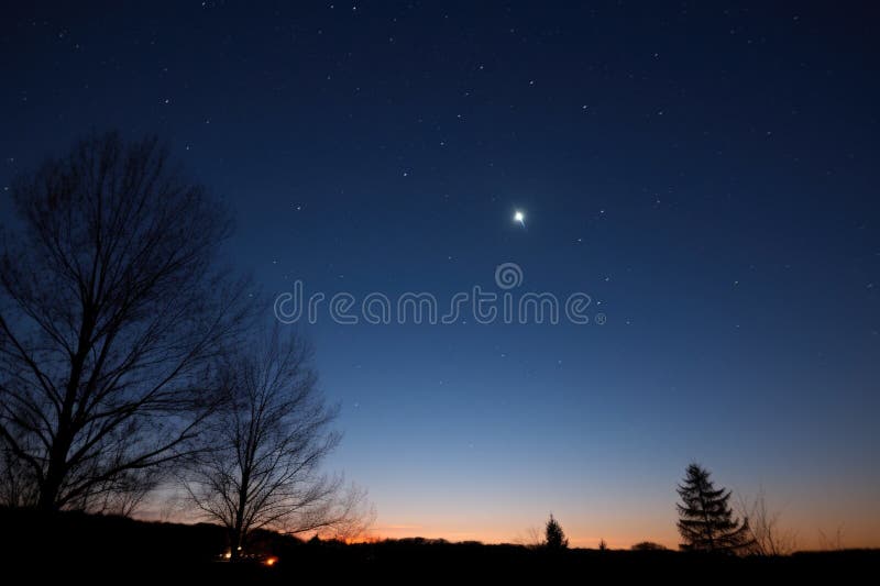 Sirius, the brightest star in the night sky royalty free stock photo