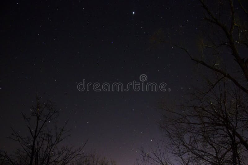 Sirius star royalty free stock images