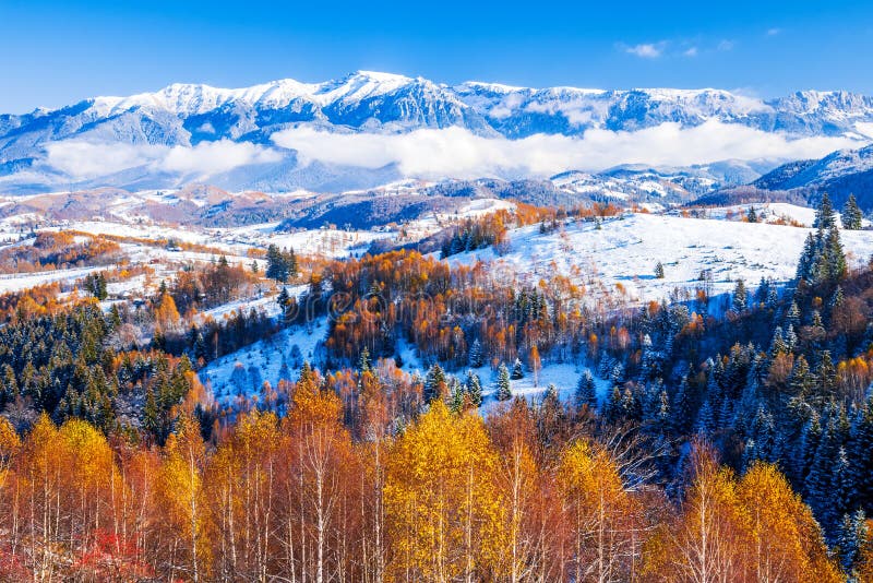 Sirnea- Carpathian Mountains, Romania. Winter landscape with Bucegi mount range