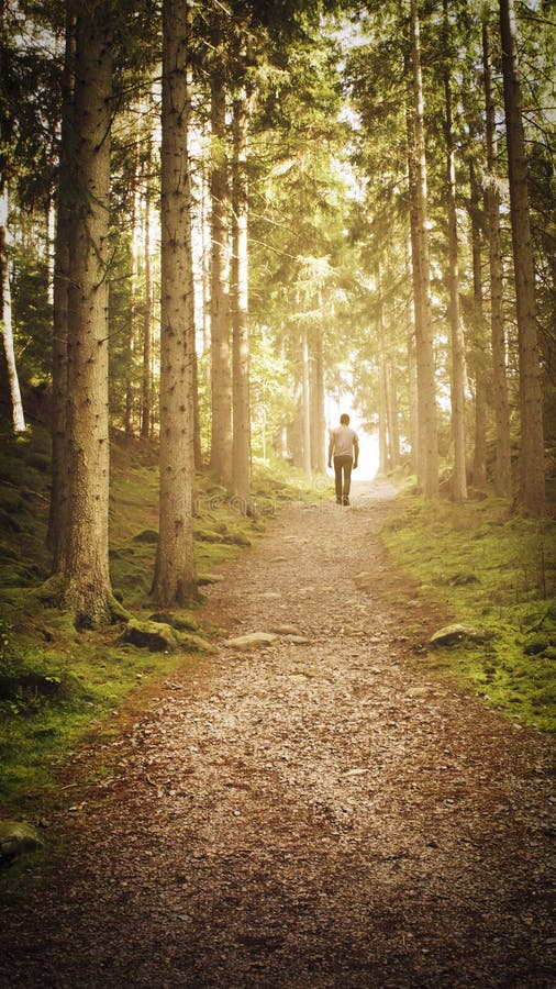 A man walking a path up a hill in an enchanted forest. Walking towards the golden light. A man walking a path up a hill in an enchanted forest. Walking towards the golden light.