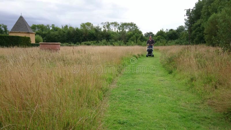 Sirva caminar hacia la cámara con un cochecito de niño