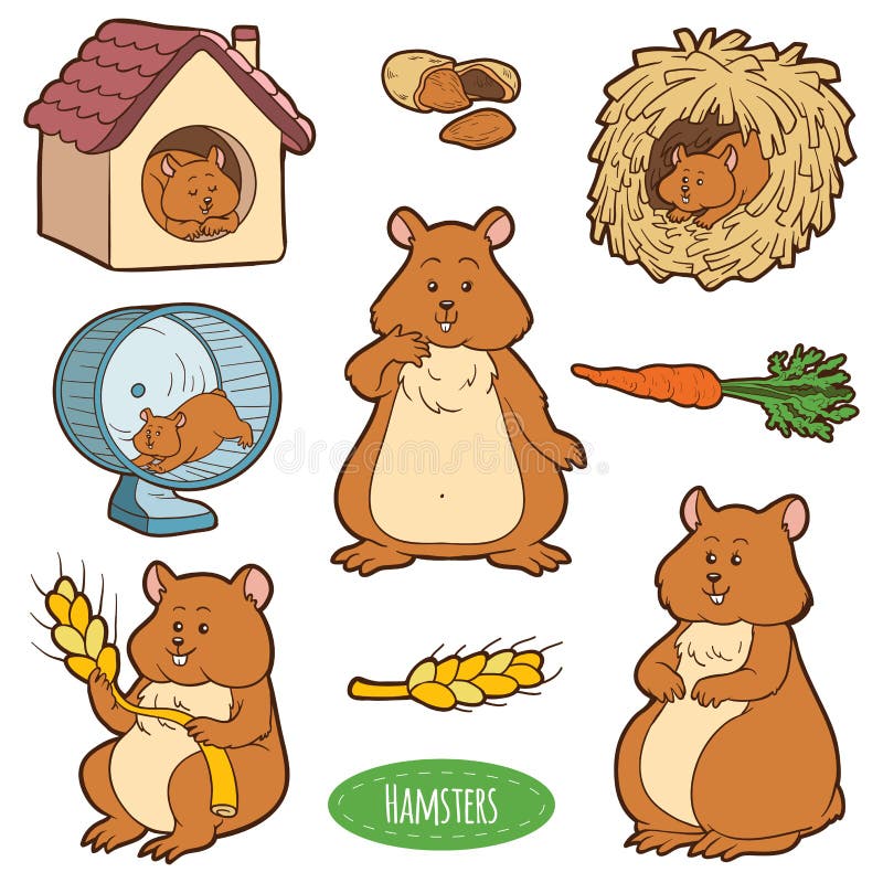 Sistema colorido de los animales y de los objetos lindos, etiquetas engomadas del vector con los hámsteres ilustración del vector Sistema colorido de los animales y de los objetos lindos, etiquetas engomadas del vector con los hámsteres ilustración del vector