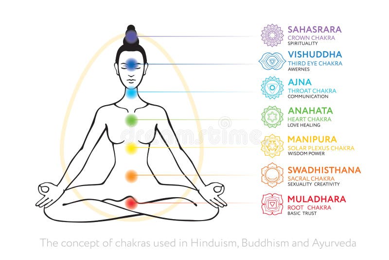 Chakras system of human body - used in Hinduism, Buddhism and Ayurveda. Linear and full color version. For design, associated with yoga - poster, banner. Vector Sahasrara, Ajna, Vishuddha, Anahata, Manipura, Swadhisthana, Muladhara. Chakras system of human body - used in Hinduism, Buddhism and Ayurveda. Linear and full color version. For design, associated with yoga - poster, banner. Vector Sahasrara, Ajna, Vishuddha, Anahata, Manipura, Swadhisthana, Muladhara