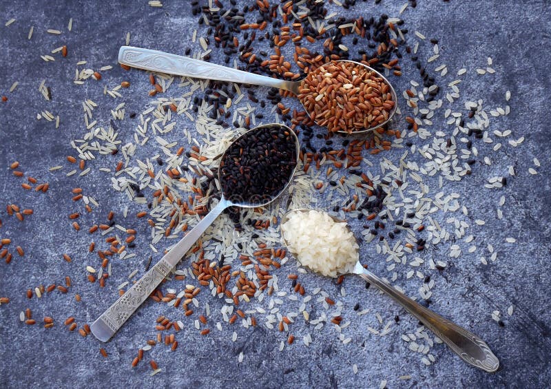 Sistema de diversos tipos arroz en fondo gris: arroz pegajoso, negro, basmati, marrón y mezclado blanco Concepto sano Visión supe imagen de archivo libre de regalías Sistema de diversos tipos arroz en fondo gris: arroz pegajoso, negro, basmati, marrón y mezclado blanco Concepto sano Visión supe imagen de archivo libre de regalías
