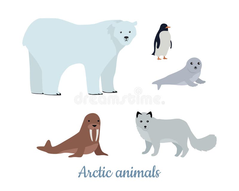 ejemplo lindo de la historieta del animal de la morsa 3782065 Vector en Vecteezy