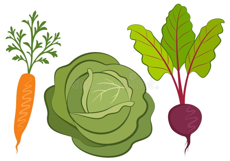 Colección De Verduras De Los Ejemplos Del Vector Ilustración del Vector