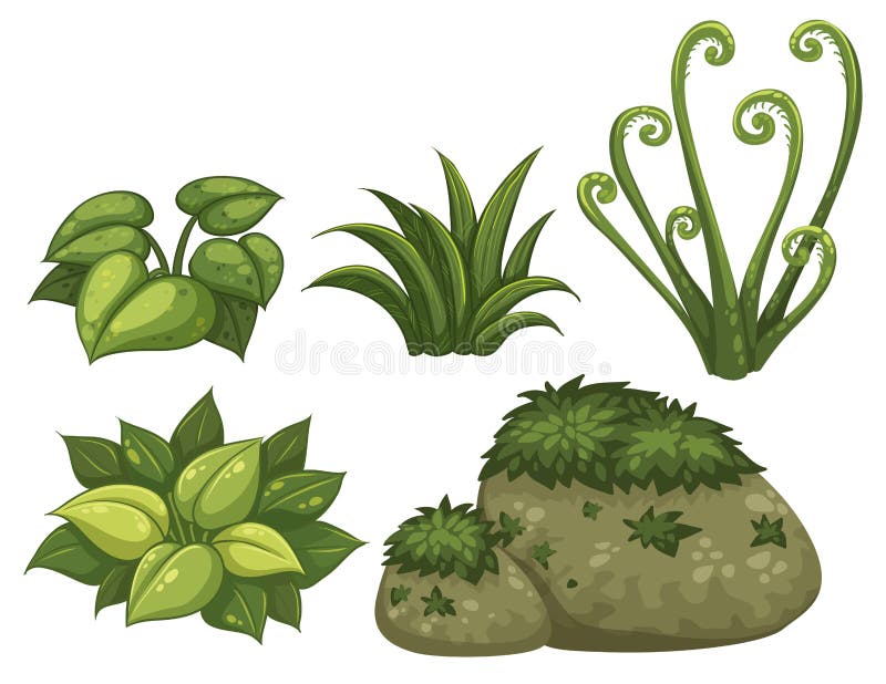 Sistema de elementos de la selva libre illustration Sistema de elementos de la selva libre illustration