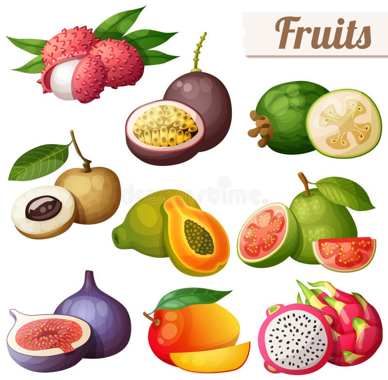 Sistema de iconos de la comida de la historieta Frutas exóticas aisladas en el fondo blanco ilustración del vector Sistema de iconos de la comida de la historieta Frutas exóticas aisladas en el fondo blanco ilustración del vector