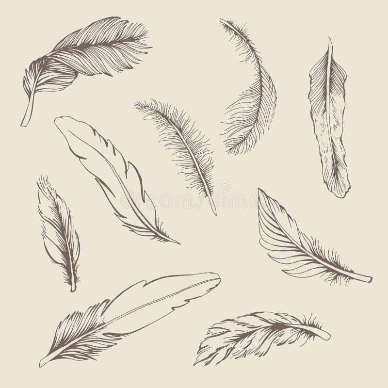 Sistema de la pluma libre illustration Sistema de la pluma libre illustration