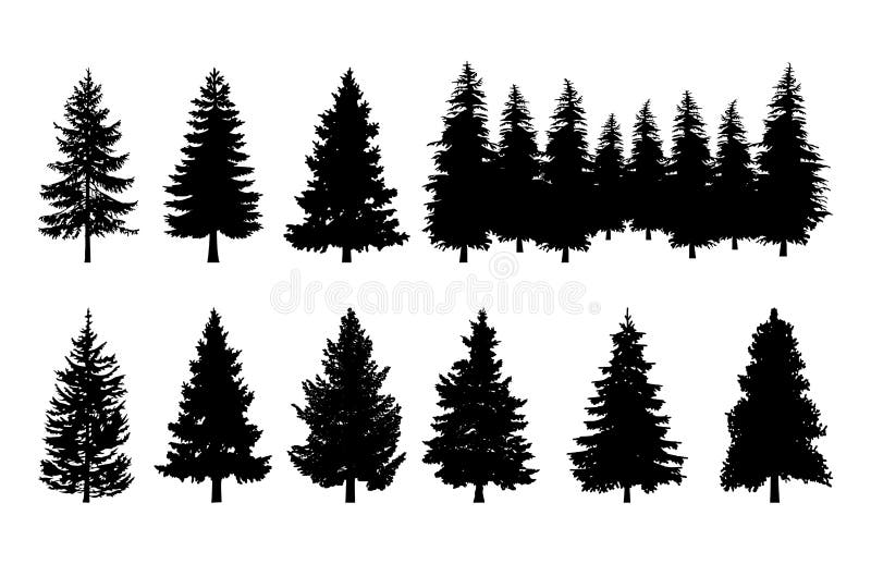 Sistema de las colecciones de la silueta del pino de los árboles