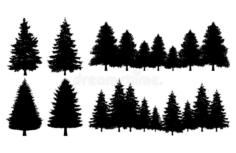 Sistema de las colecciones de la silueta del árbol de pino