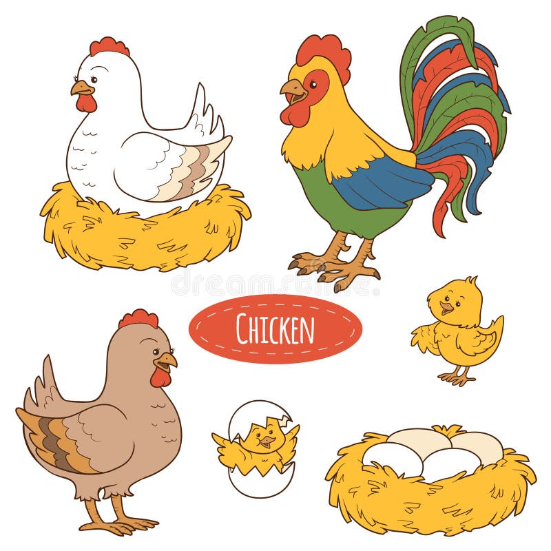 Sistema de los animales del campo y de los objetos, pollo de la familia del vector
