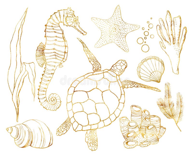 Sistema de oro de la acuarela con los animales y las plantas subacuáticos del arrecife de coral Tortuga pintada a mano, seahorse, stock de ilustración Sistema de oro de la acuarela con los animales y las plantas subacuáticos del arrecife de coral Tortuga pintada a mano, seahorse, stock de ilustración