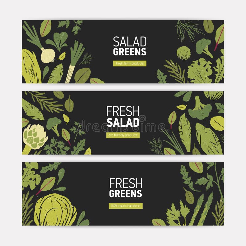 Sistema de plantillas horizontales de la bandera del web con las verduras verdes, las hojas frescas de la ensalada y las hierbas ilustración del vector
