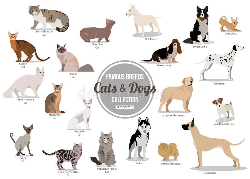Sistema de sentada plana o perros lindos de la historieta que caminan y perros Razas populares Iconos aislados diseño plano del e libre illustration Sistema de sentada plana o perros lindos de la historieta que caminan y perros Razas populares Iconos aislados diseño plano del e libre illustration