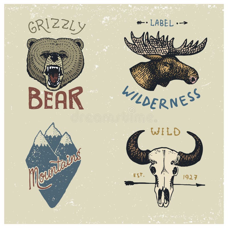 Sistema de vintage grabado, mano dibujada, vieja, etiquetas o insignias para acampar, el caminar, cazando con la cara de los alce libre illustration Sistema de vintage grabado, mano dibujada, vieja, etiquetas o insignias para acampar, el caminar, cazando con la cara de los alce libre illustration