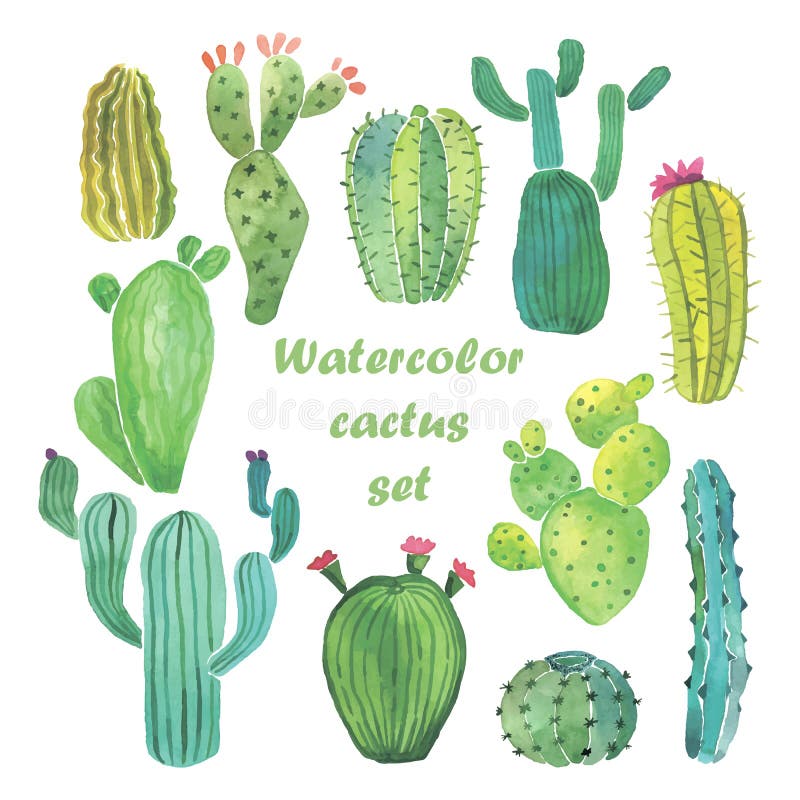 Sistema del cactus de la acuarela libre illustration Sistema del cactus de la acuarela libre illustration