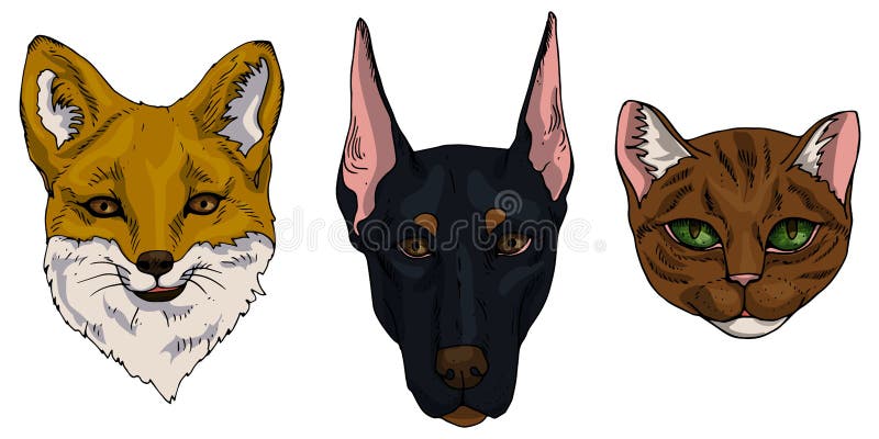 Sistema del ejemplo del vector del gato, perro, iconos planos del zorro Historieta y animales realistas en marrón, negro y color stock de ilustración Sistema del ejemplo del vector del gato, perro, iconos planos del zorro Historieta y animales realistas en marrón, negro y color stock de ilustración