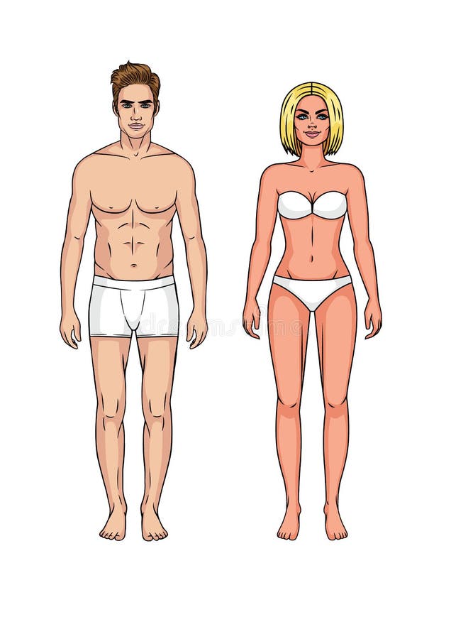 Sistema Y De La Mujer En Ropa Interior Ilustración del - Ilustración de adulto, humano: 101804746