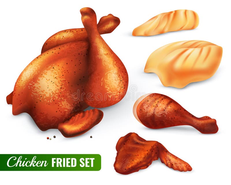 Sistema del pollo frito ilustración del vector