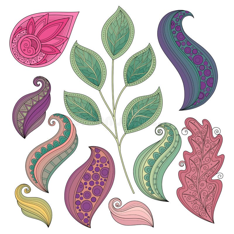 Sistema del vector de flores y de hojas coloreadas del contorno ilustración del vector Sistema del vector de flores y de hojas coloreadas del contorno ilustración del vector