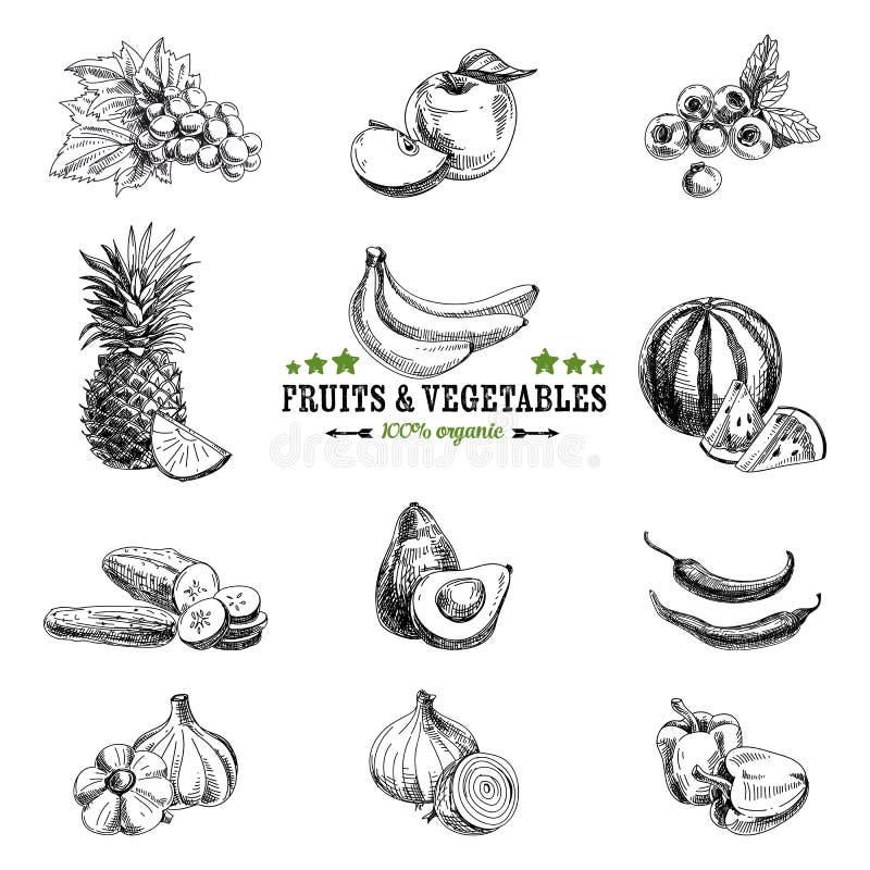 Sistema del vector de fruta y verdura